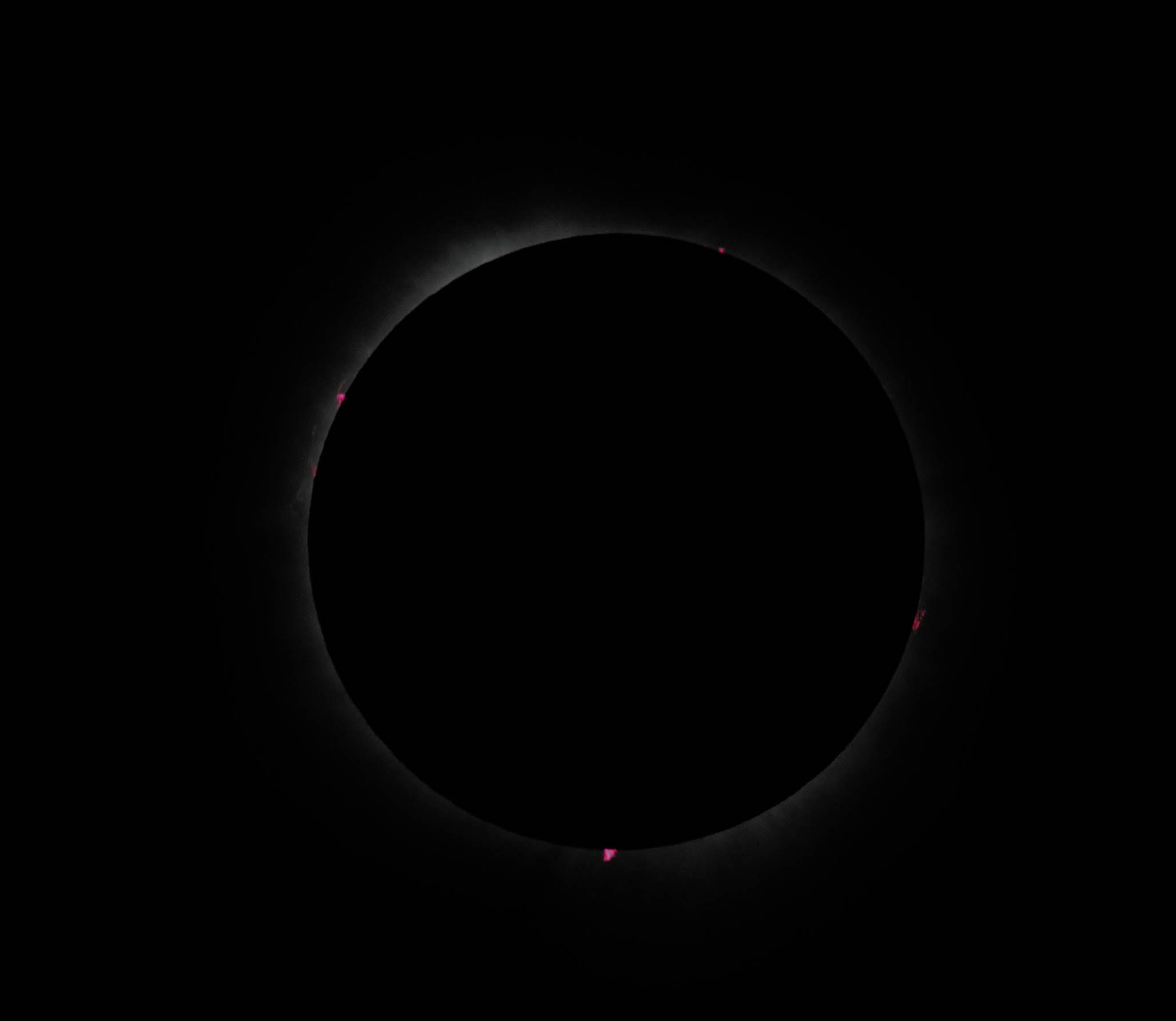 Corona & Prominences